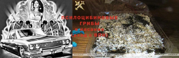Альфа ПВП Балахна