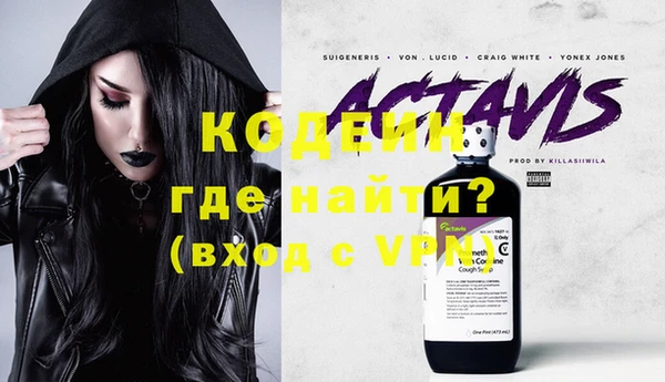 гидра Ельня